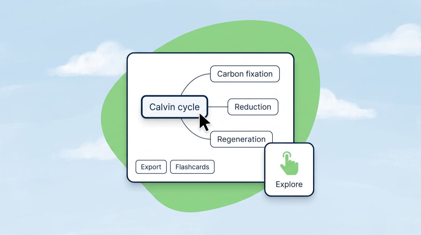 A node being dragged on the map next to Export and Flashcards buttons