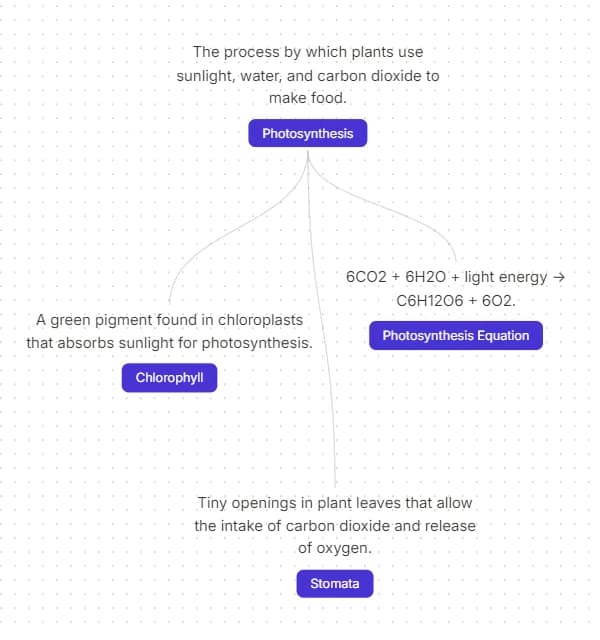 Introducing Mindmaps
